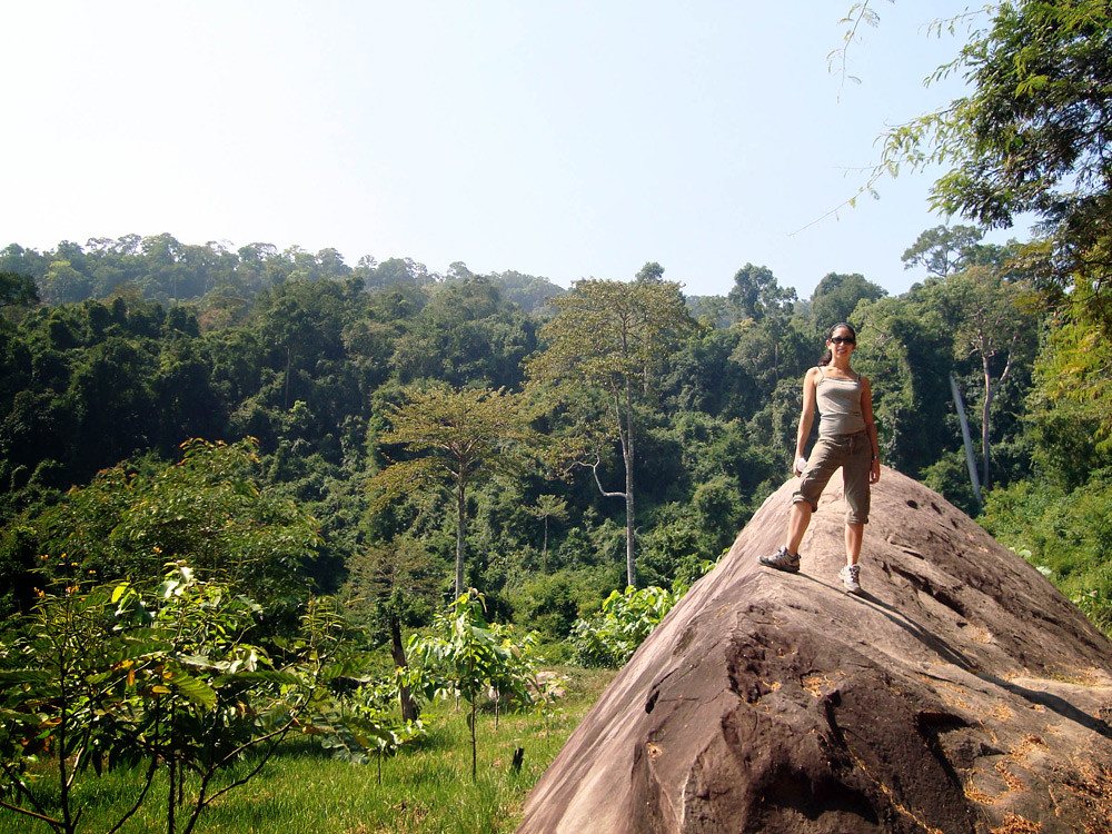 Jungle in Cambodia