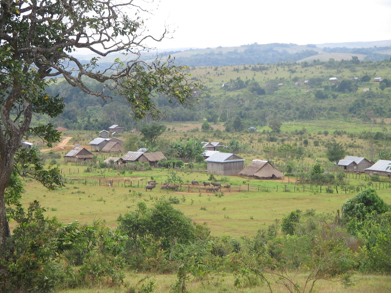 MONDULKIRI, countryside of Cambodia