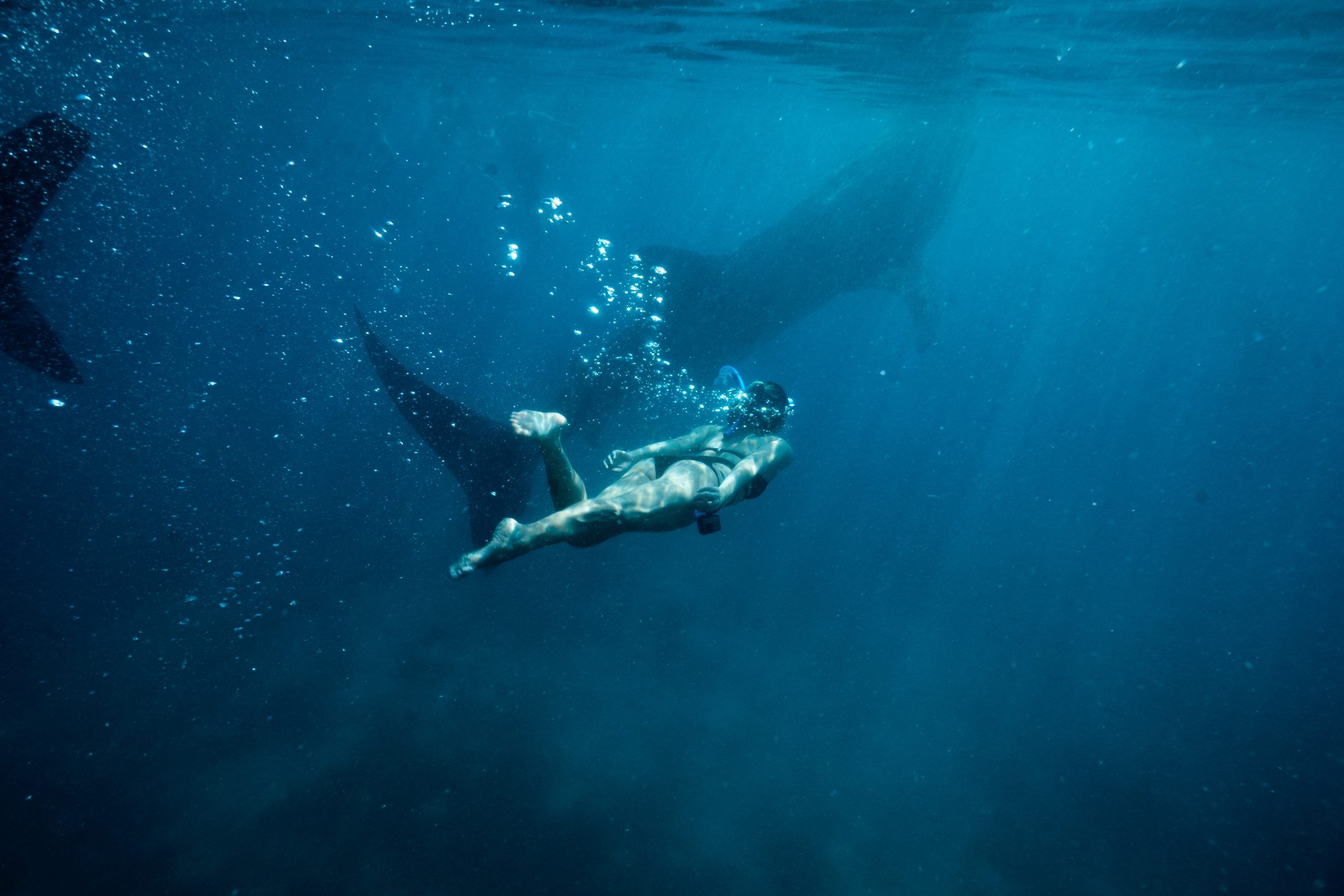 Snorkelling in the philippines