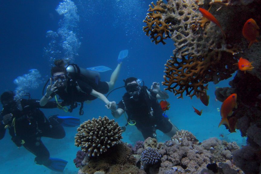 Scuba diving in the Philippines